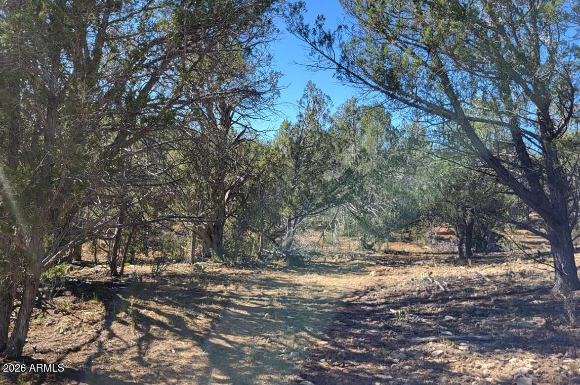 918 WOLF Road 918, Ash Fork, AZ 86320