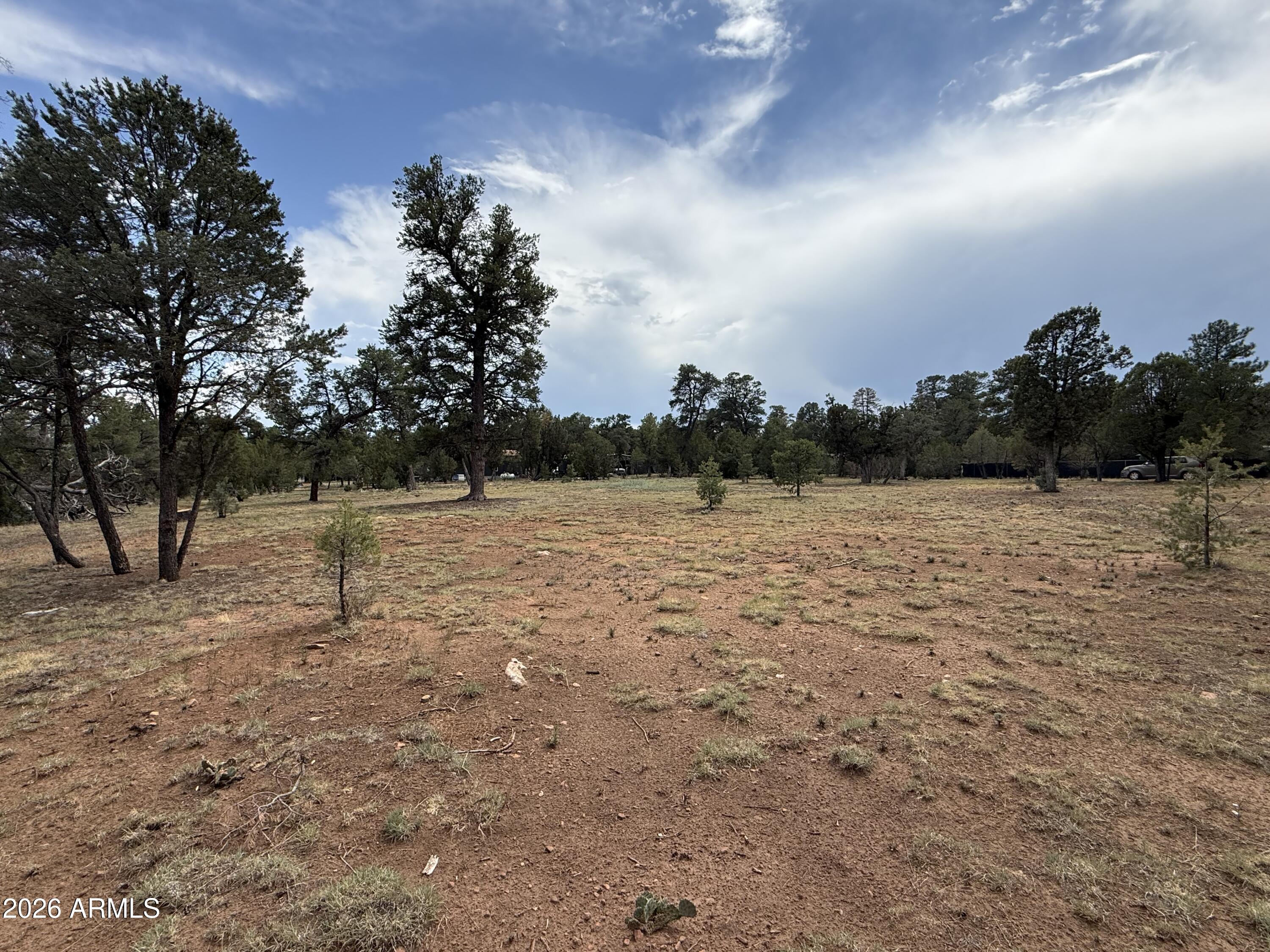 3048 CHEVELON Road 147, Overgaard, AZ 85933