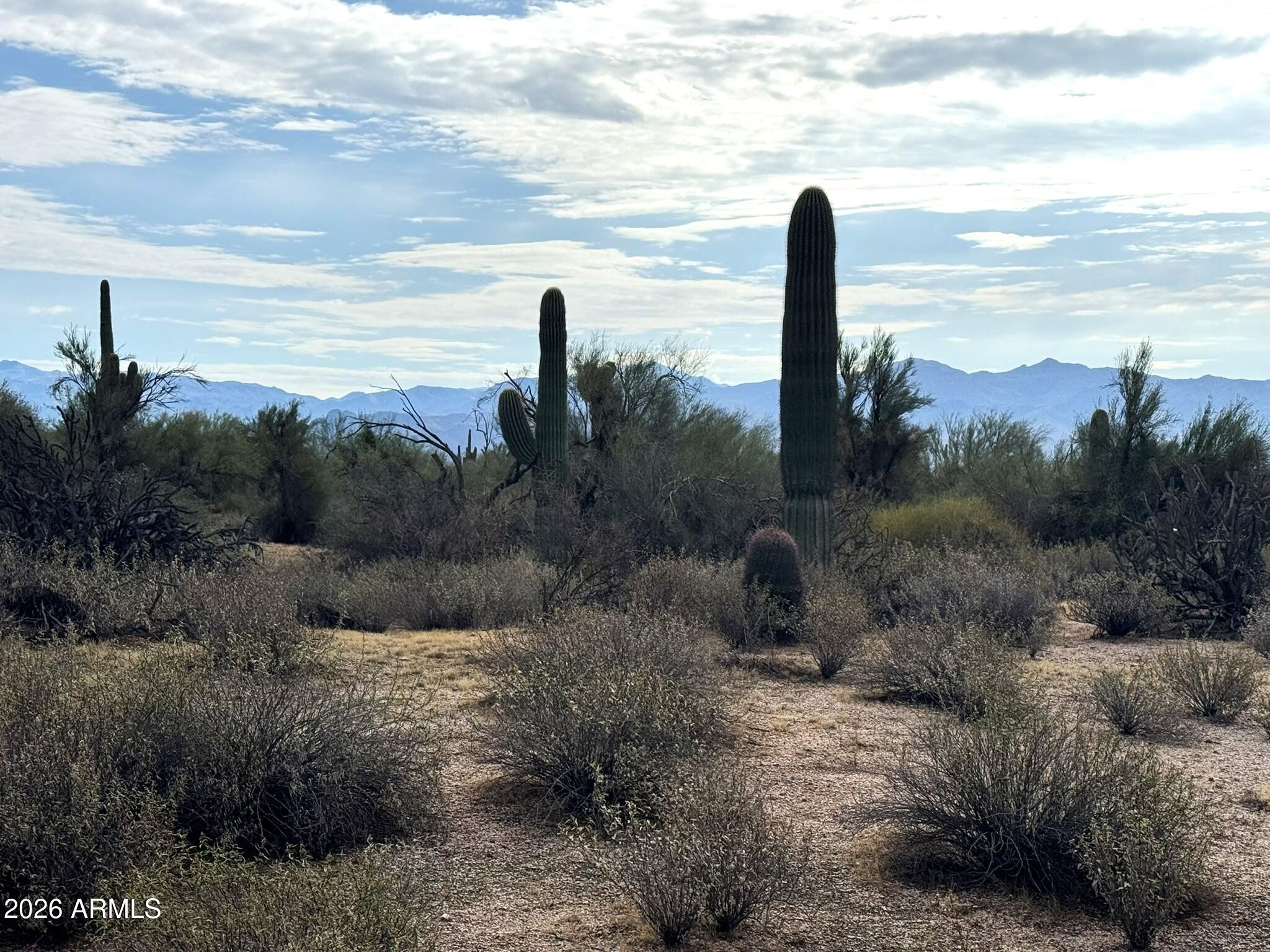 27000 N 158th Street -, Scottsdale, AZ 85262