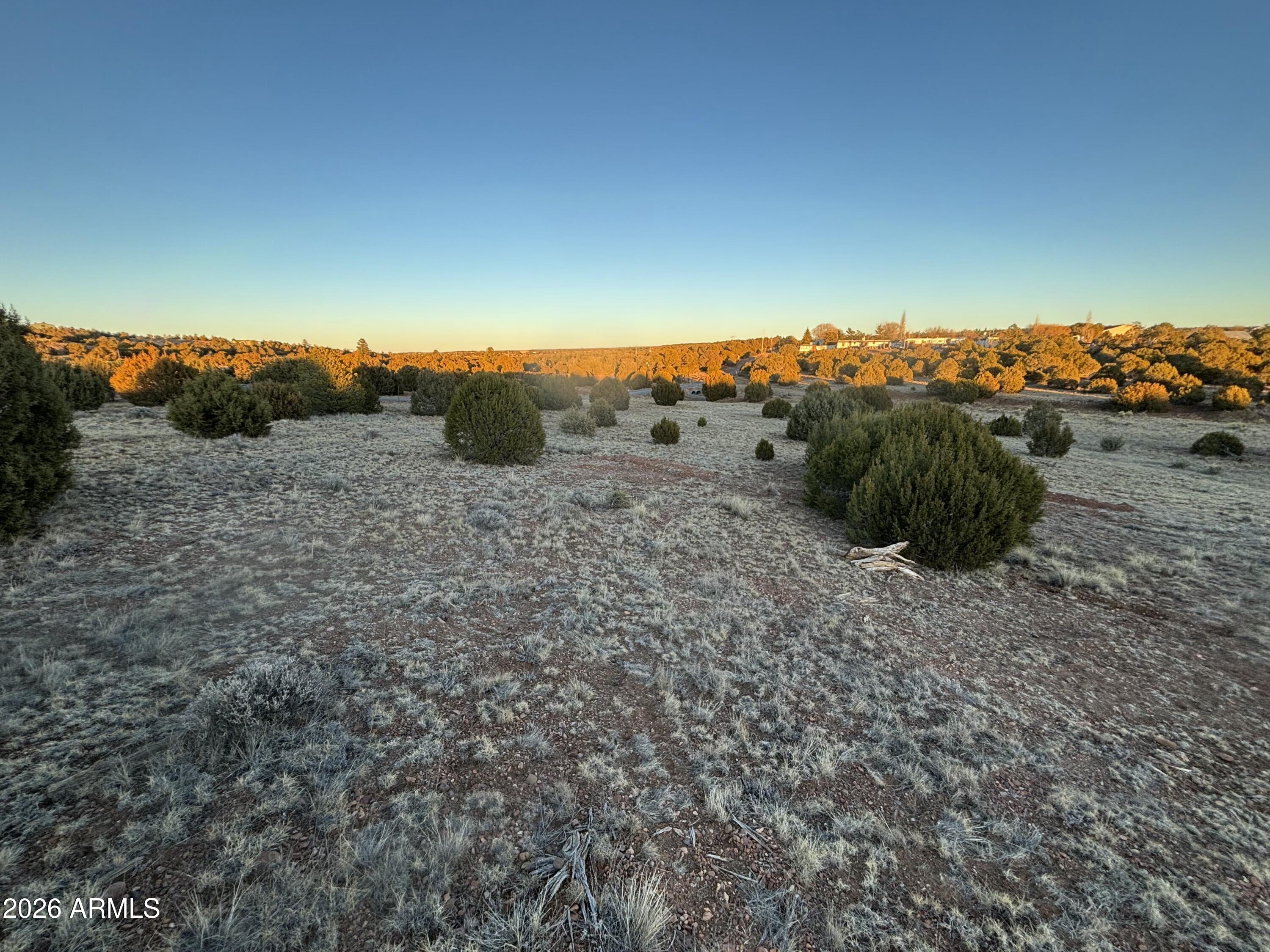 4967 HOLLYHOCK Street NA, Clay Springs, AZ 85923