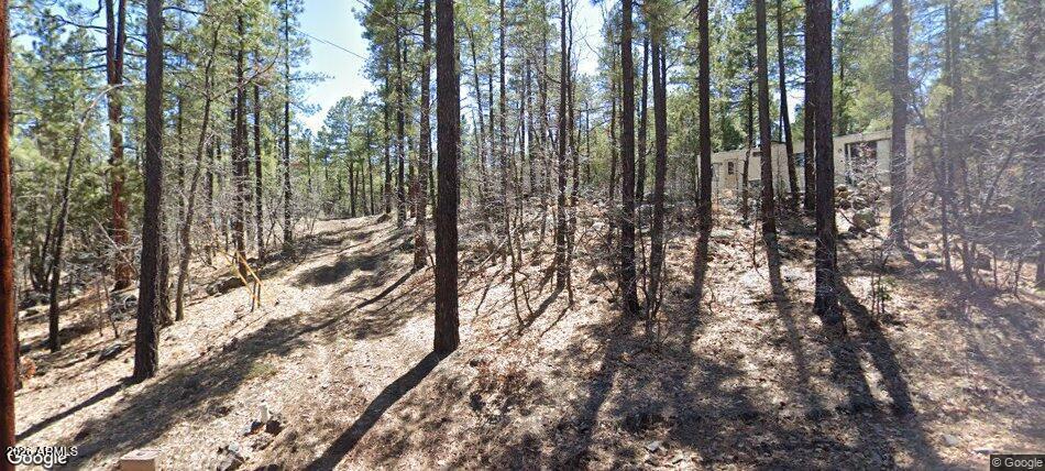 1437 E Elk Lane 33, Pinetop-Lakeside, AZ 85929