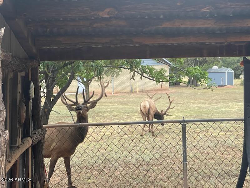 1306 N WOODLAND Drive, Payson, AZ 85541