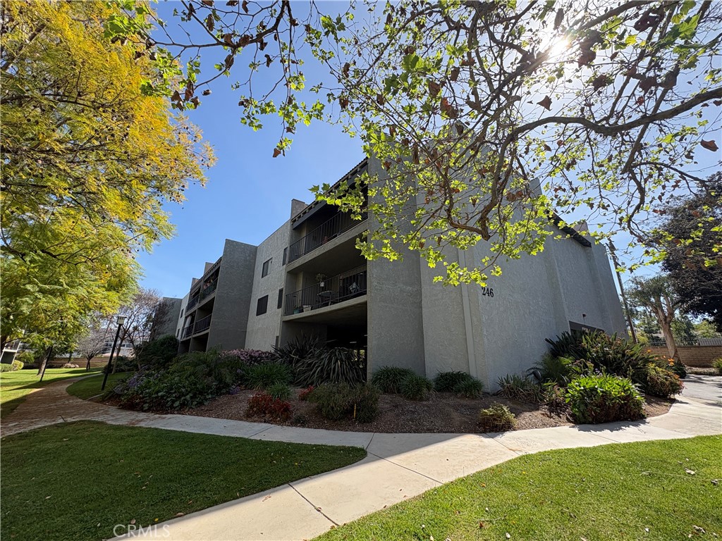 246 E Fern 103