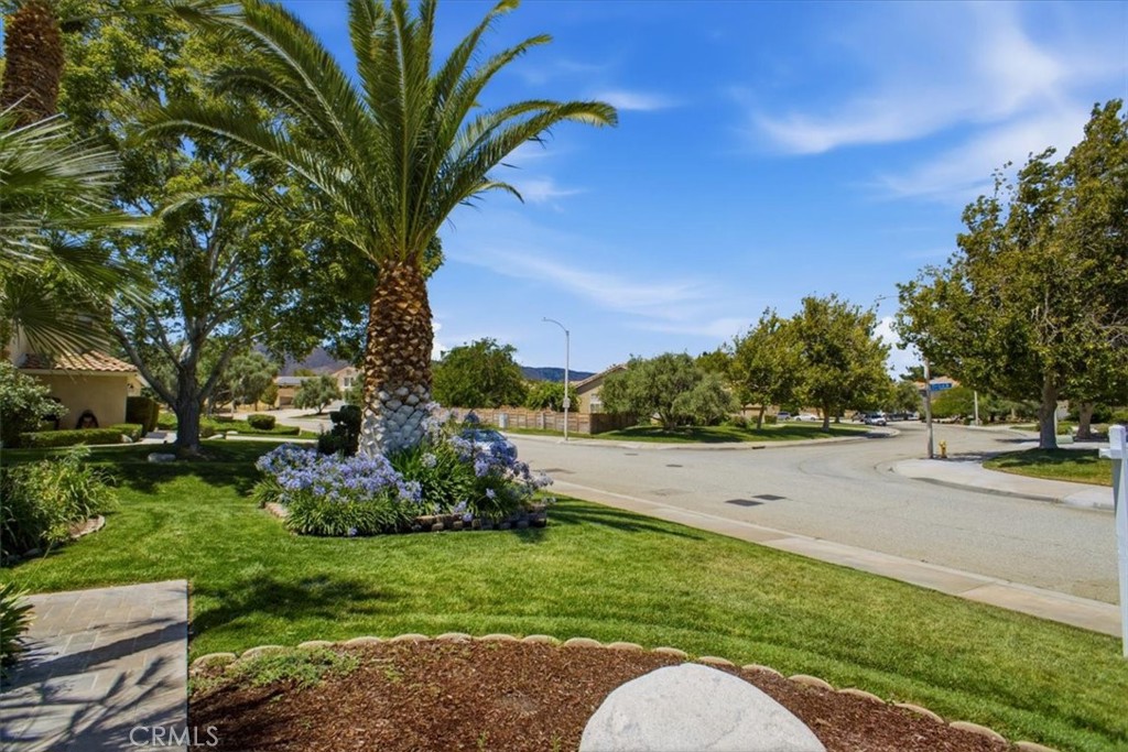 41066 Rimfield Drive