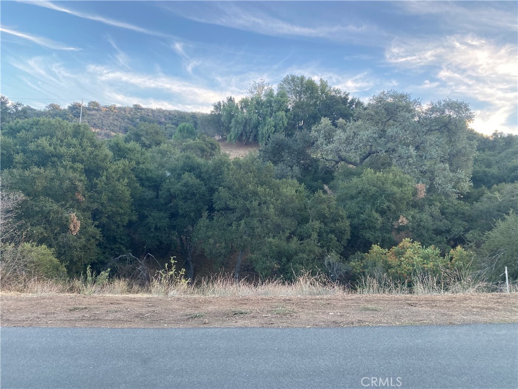 0 S Skyline Dr Drive