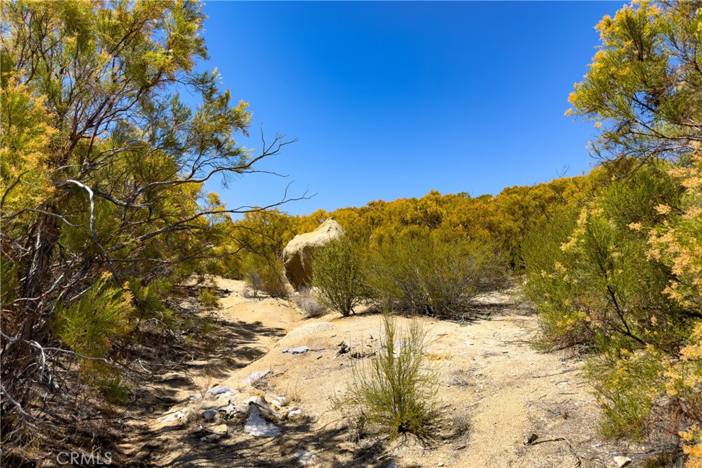 29051 Chihuahua Valley Road