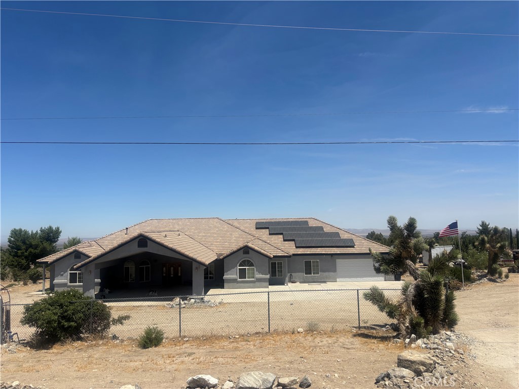 1220 Smoke Tree