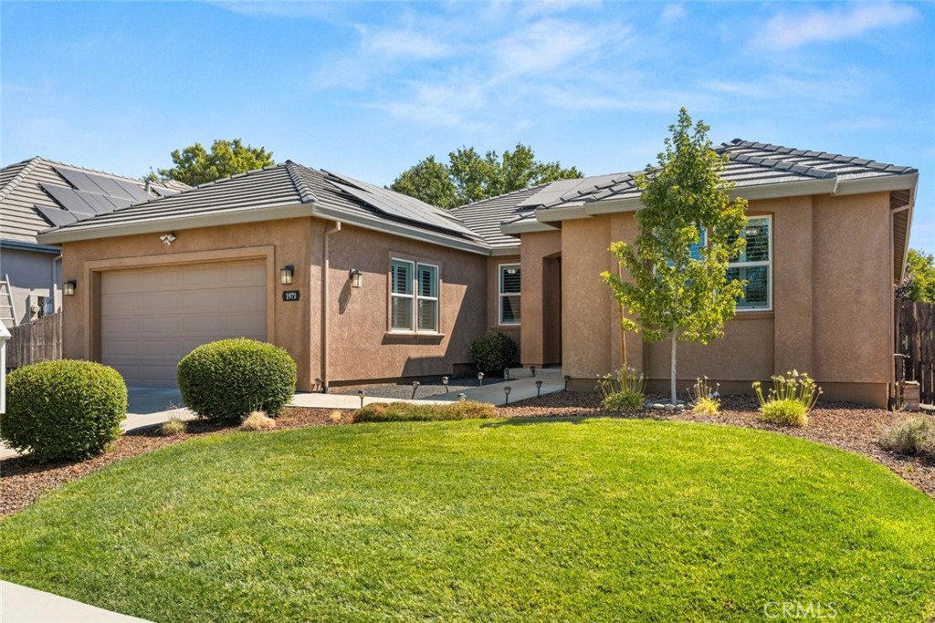 1971 Potter