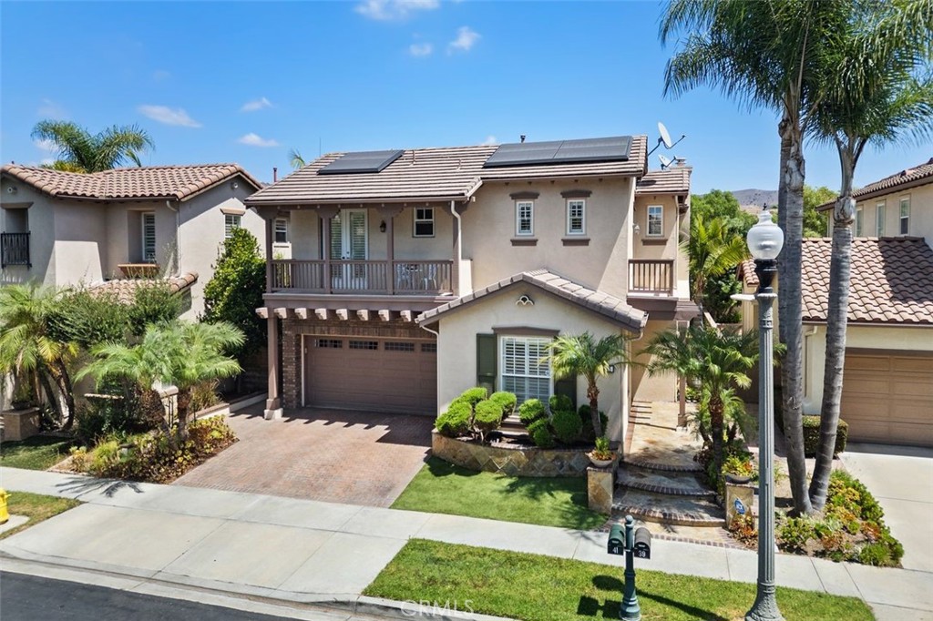 41 Carpenteria