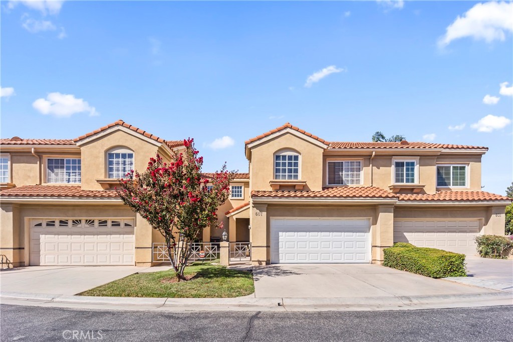 607 Wild Rose