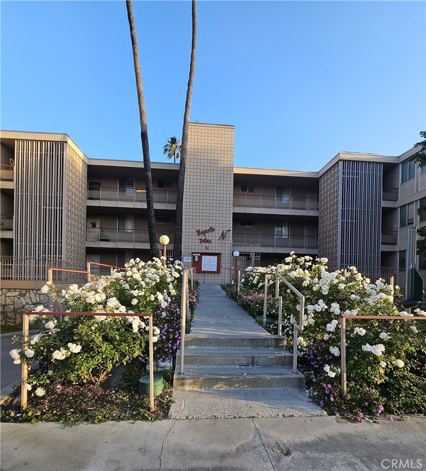 6979 Palm N141