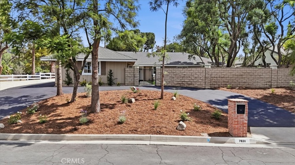 7831 Live Oak