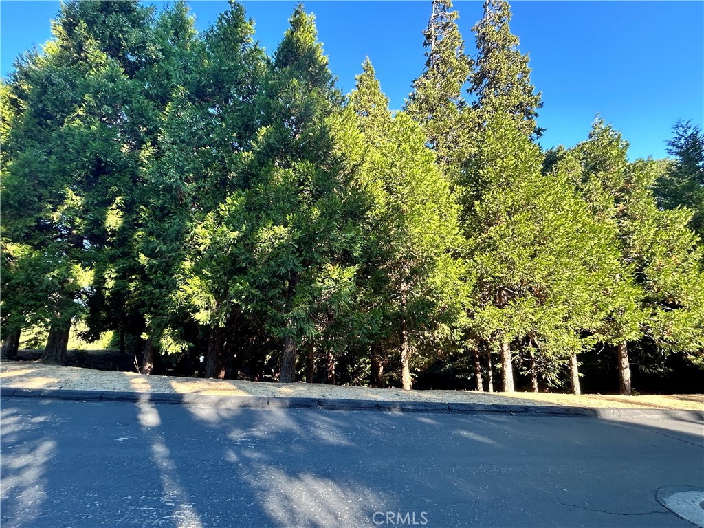 28980 White Dove Lane