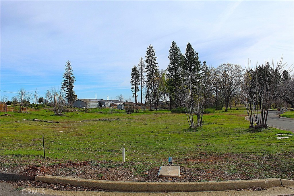 0 Summerwood