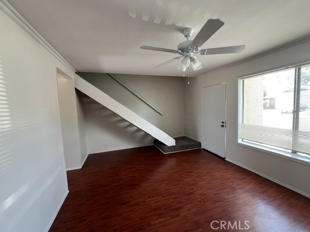 31 Meadowgrass