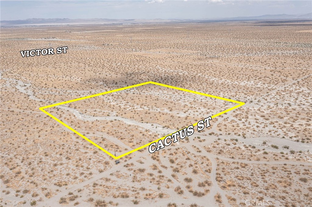 31001214 Cactus Road