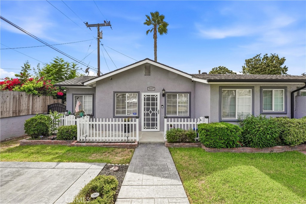 5607 Palm