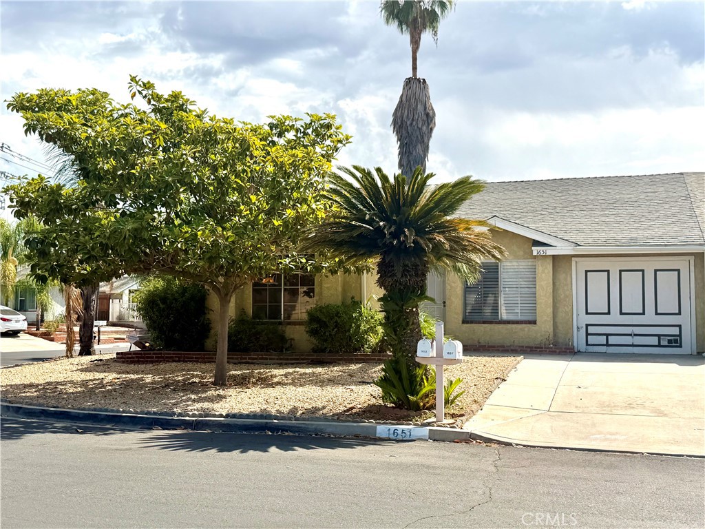 1651 Sycamore Street