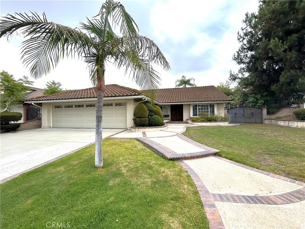 904 Sky Meadow