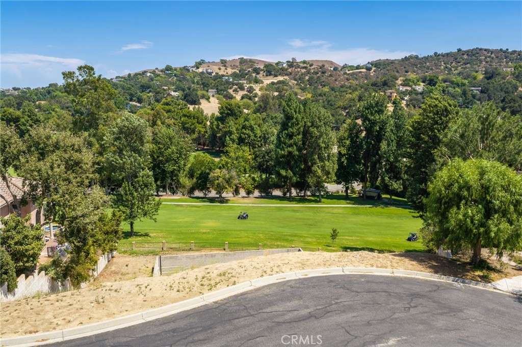16135 Greens Court