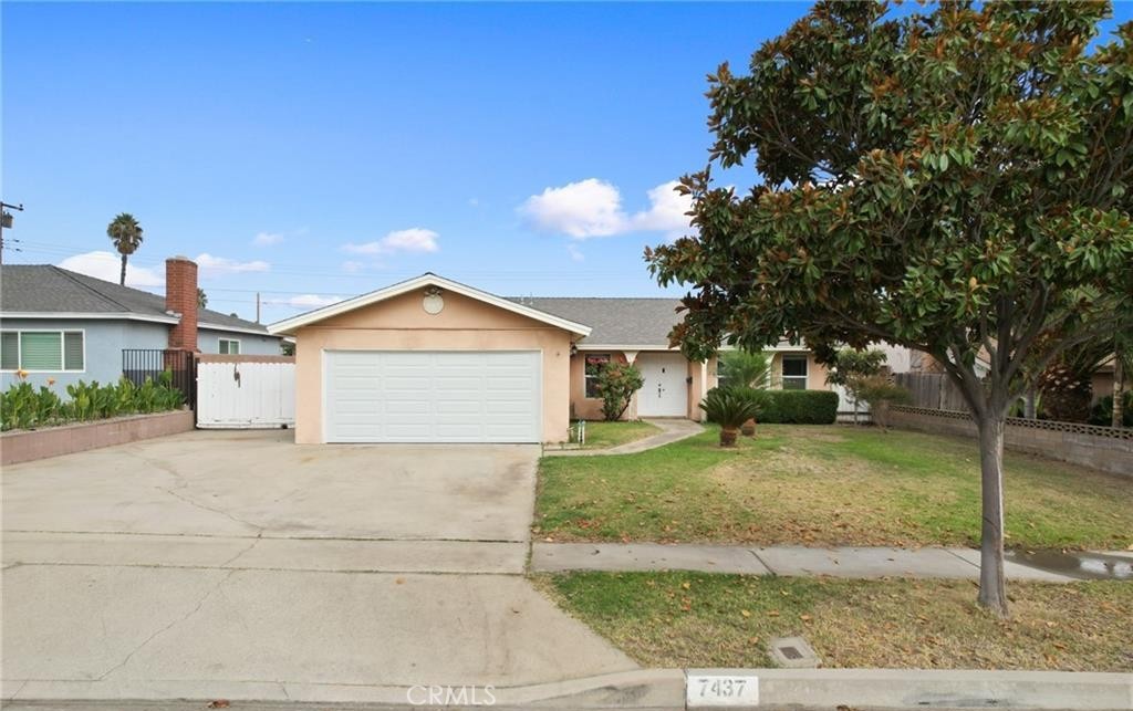 7437 Kirkwood