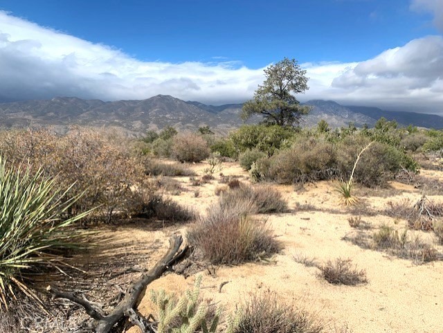 368 Palm Canyon Drive