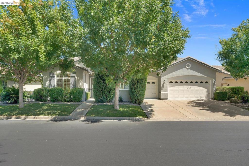 1161 Bacchini LN
