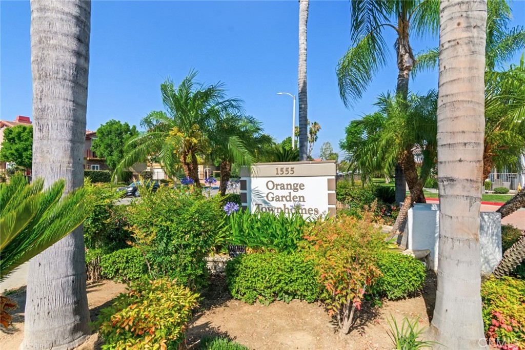 1555 Orange Avenue 404