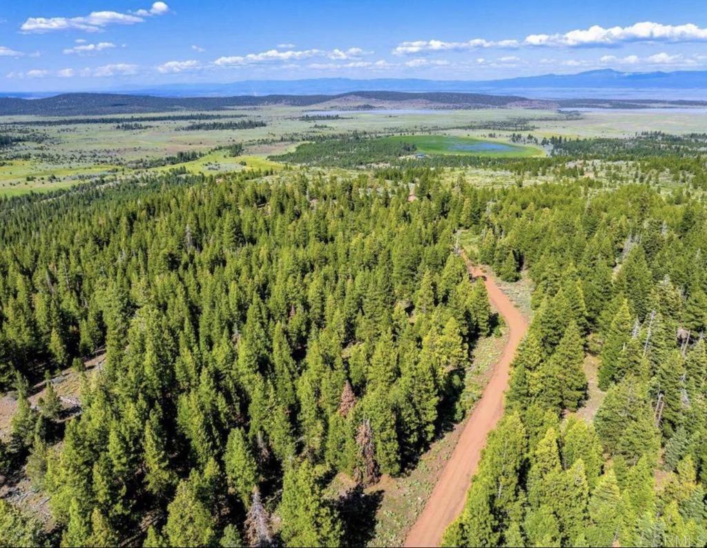 123 Glacier Dr Glacier Dr Alturas, CA 96101 Road