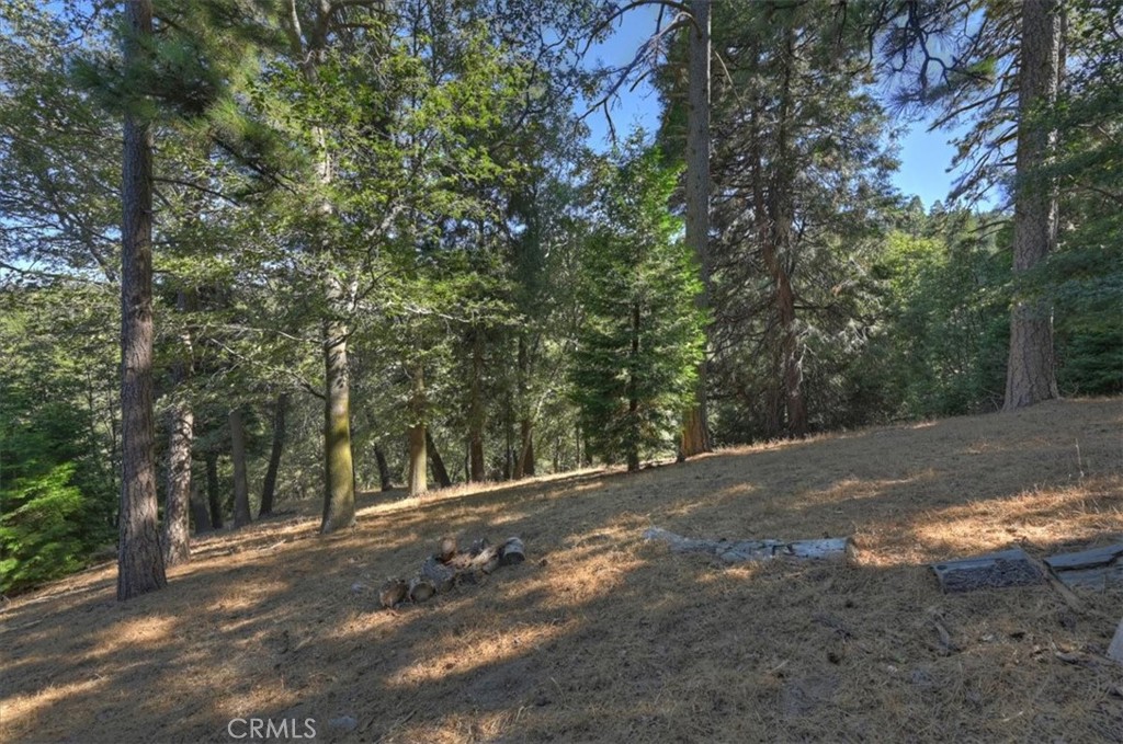 0 Pine