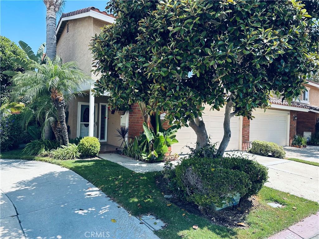 7885 Moonmist