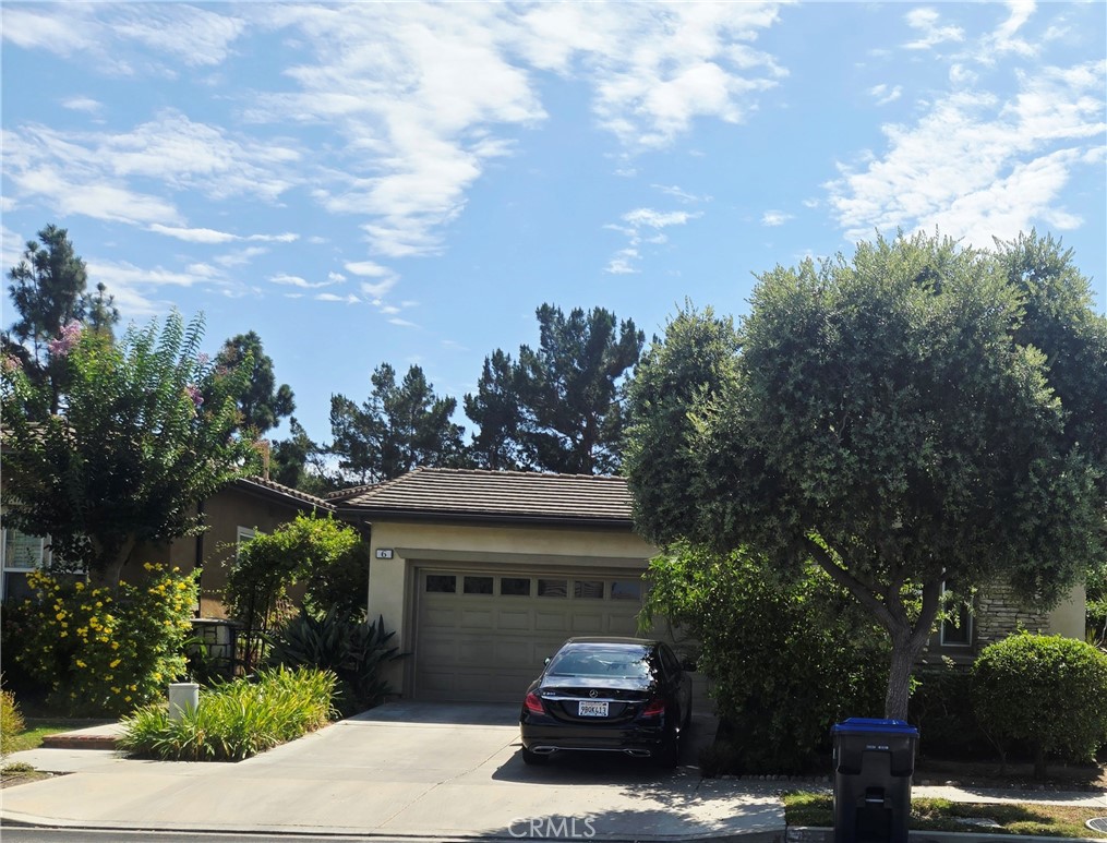 6 Saintsbury