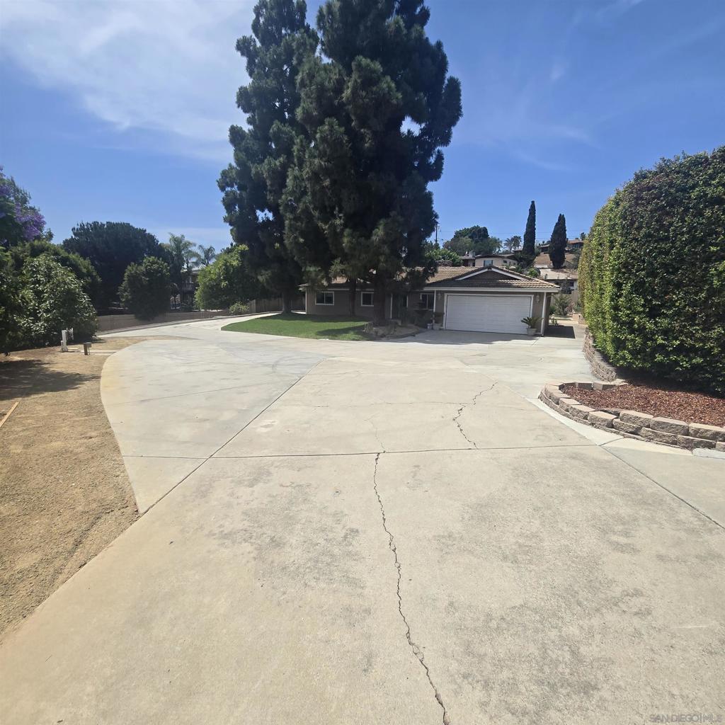 4126 Avocado Blvd.