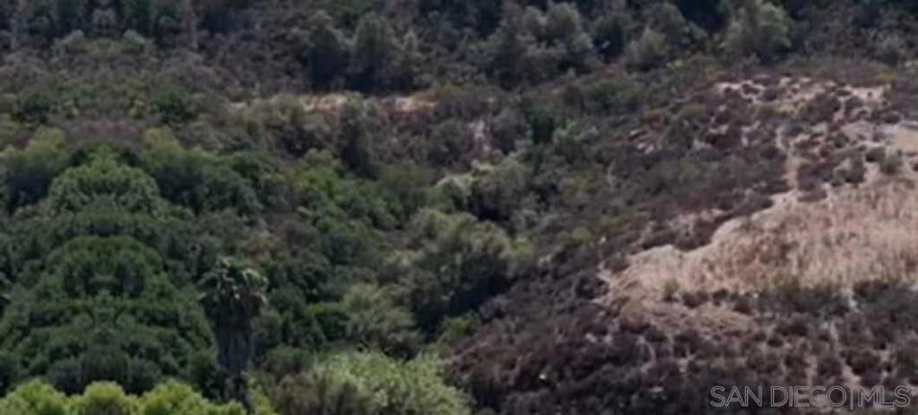 Proctor Valley
