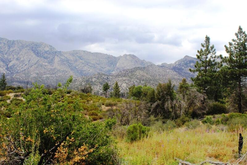 0 Bonita Vista Road