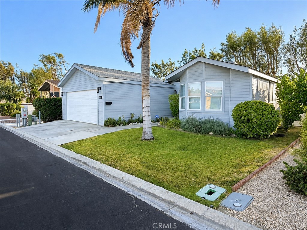 15300 Palm 248