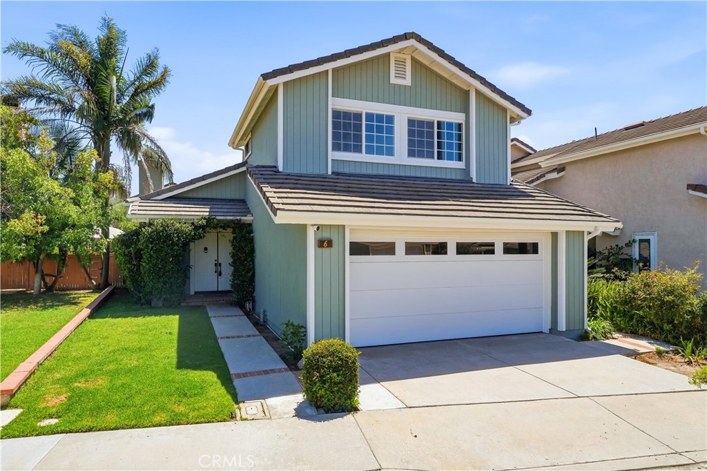 6 Buttonwood