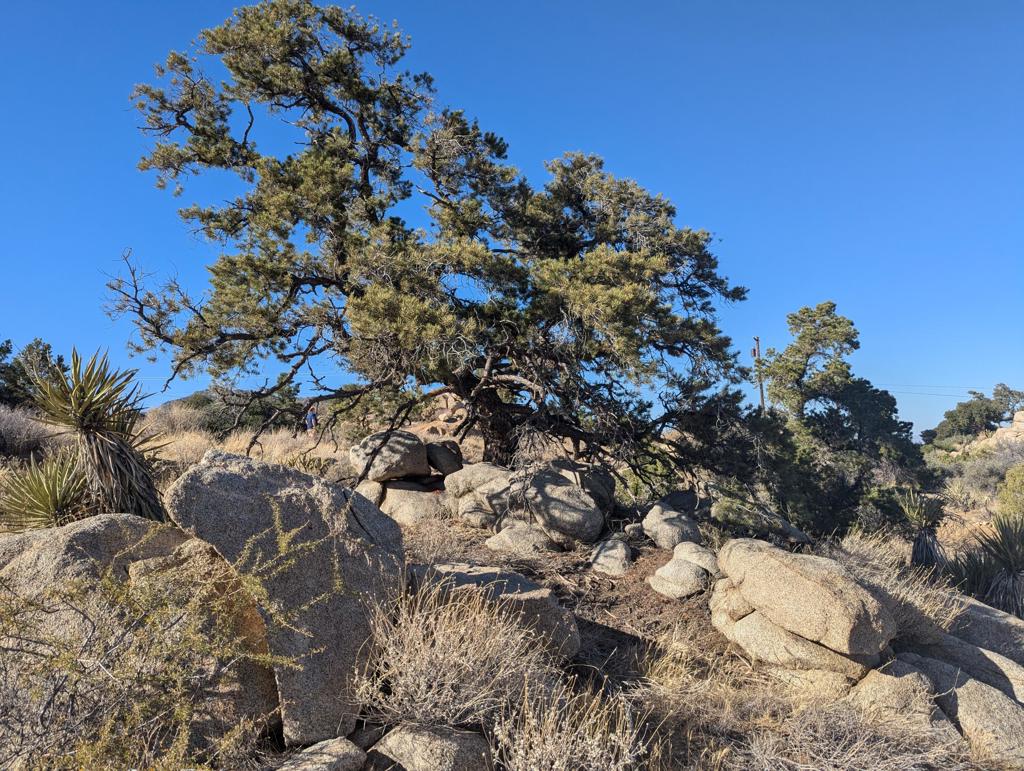 Lot 84 Mountain Park Road