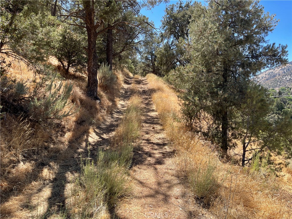 0 Short Trail