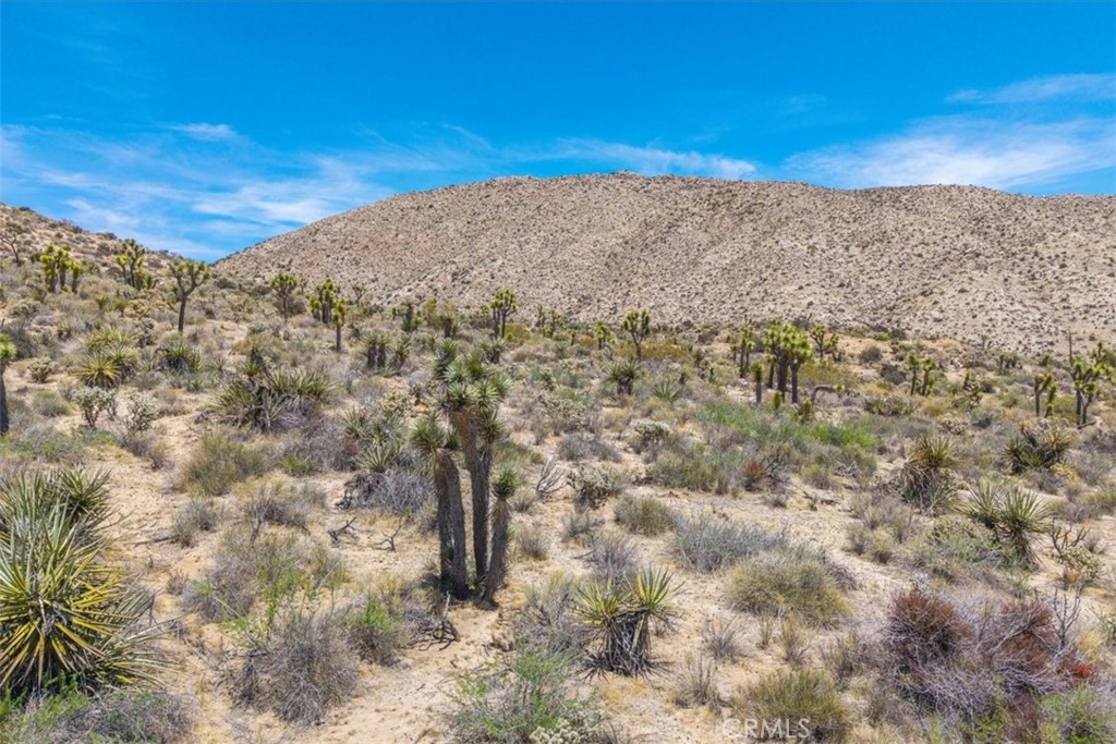 55652 Buena Vista Drive