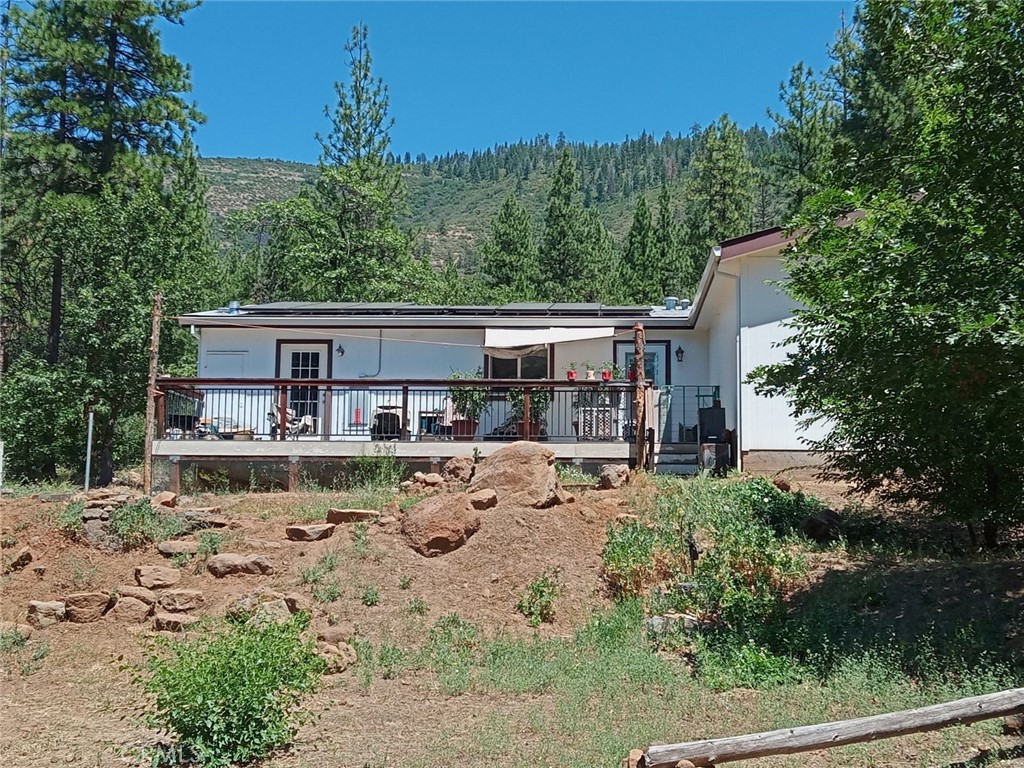 30700 Scrub Oak