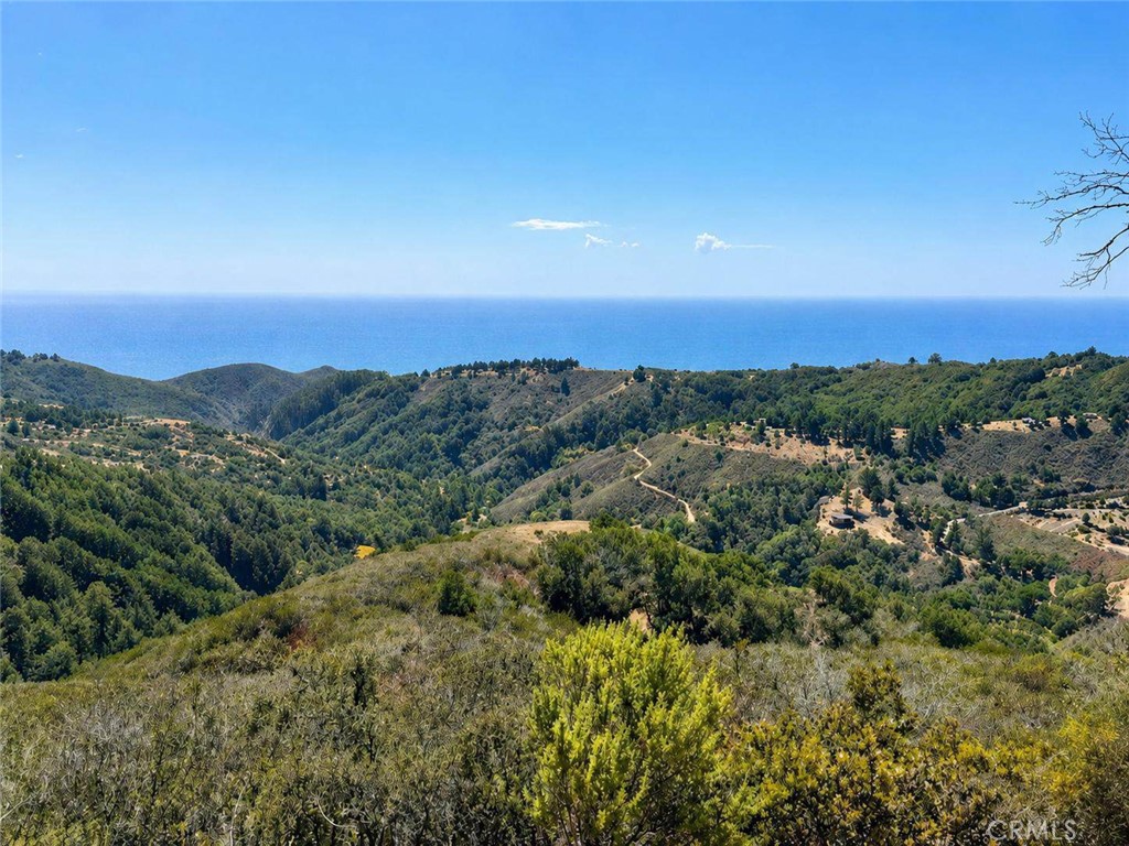 46190 Pfeiffer Ridge