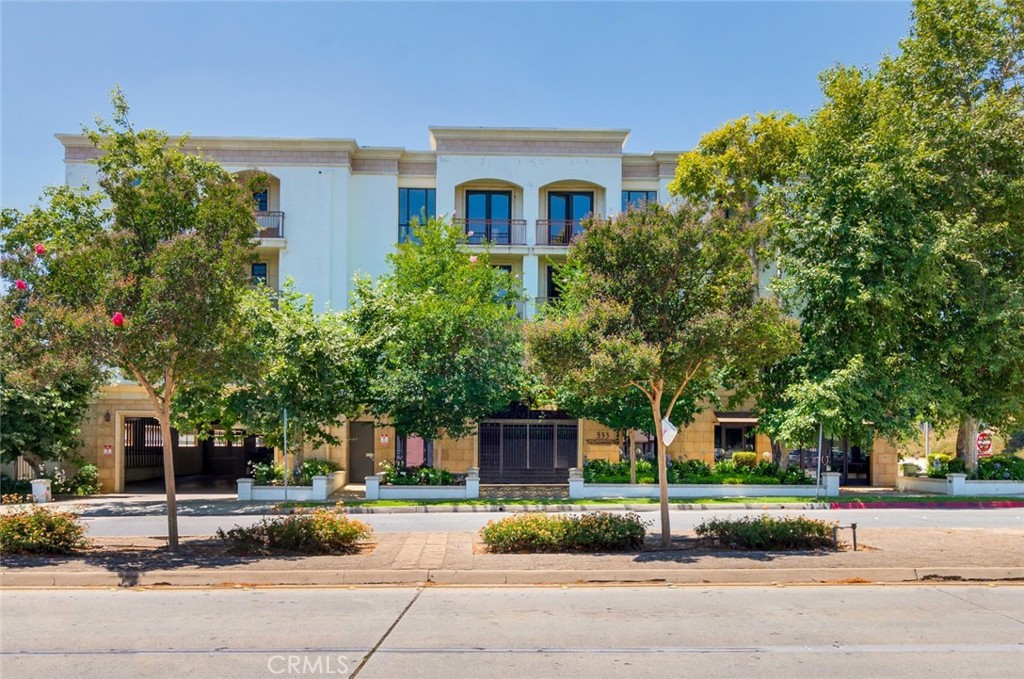 333 N Hill Avenue 305