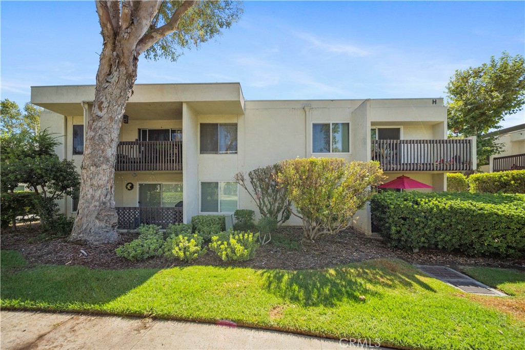 23515 Lyons 261