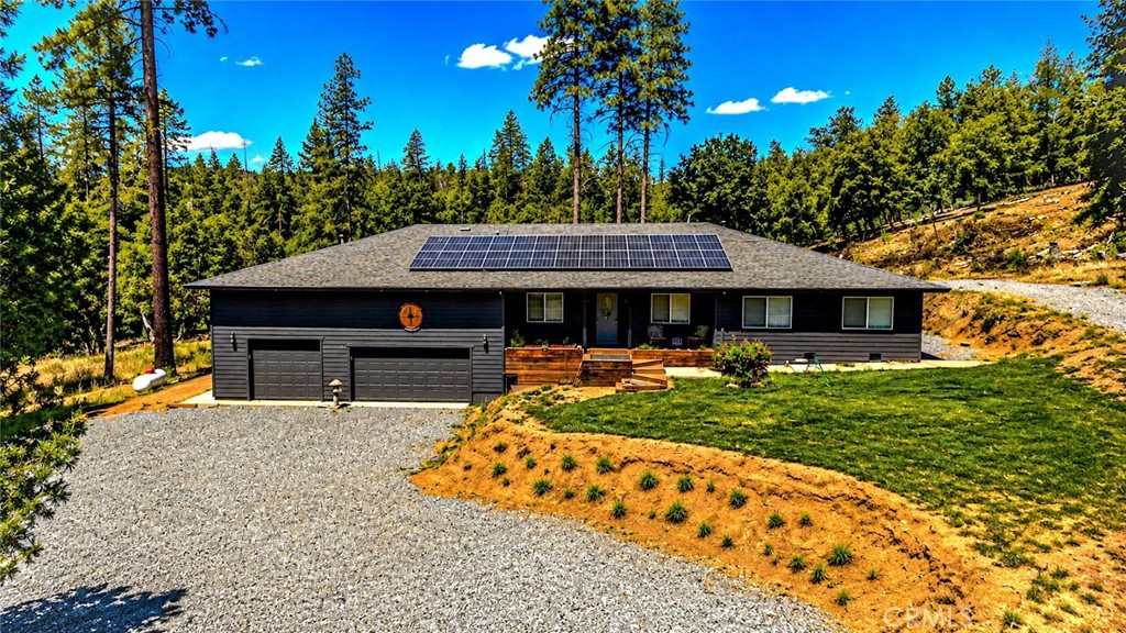5999 Sugar Pine