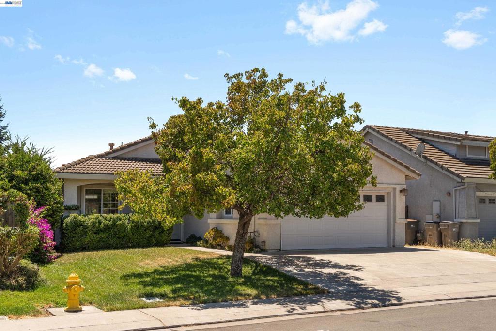 1966 Hecke Drive
