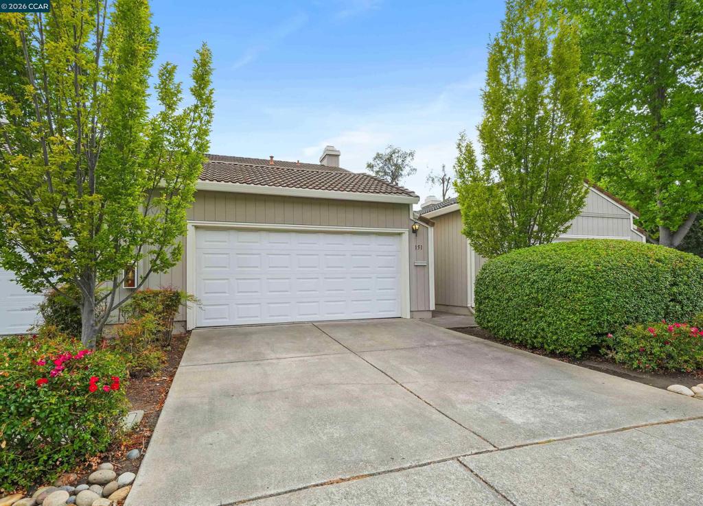 151 Terrace Ct