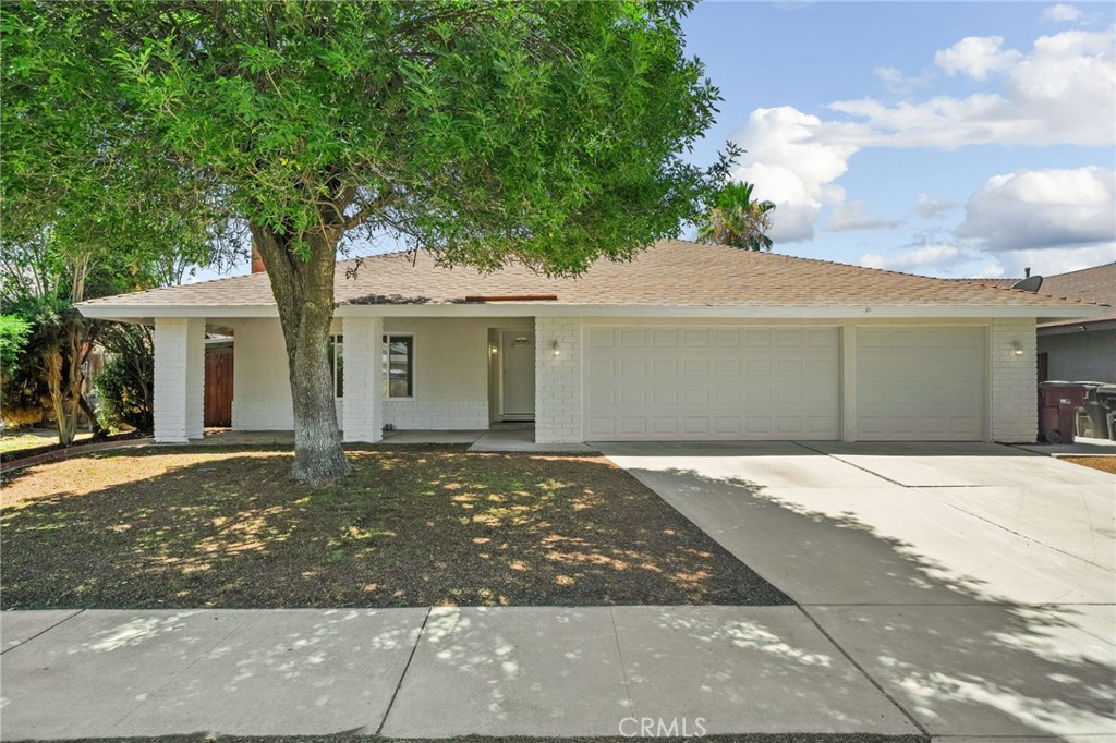 24233 Millsap