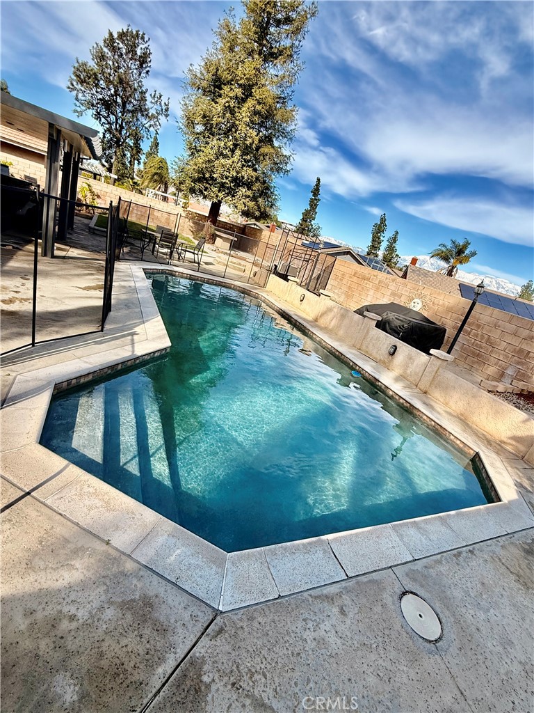 14556 Agave