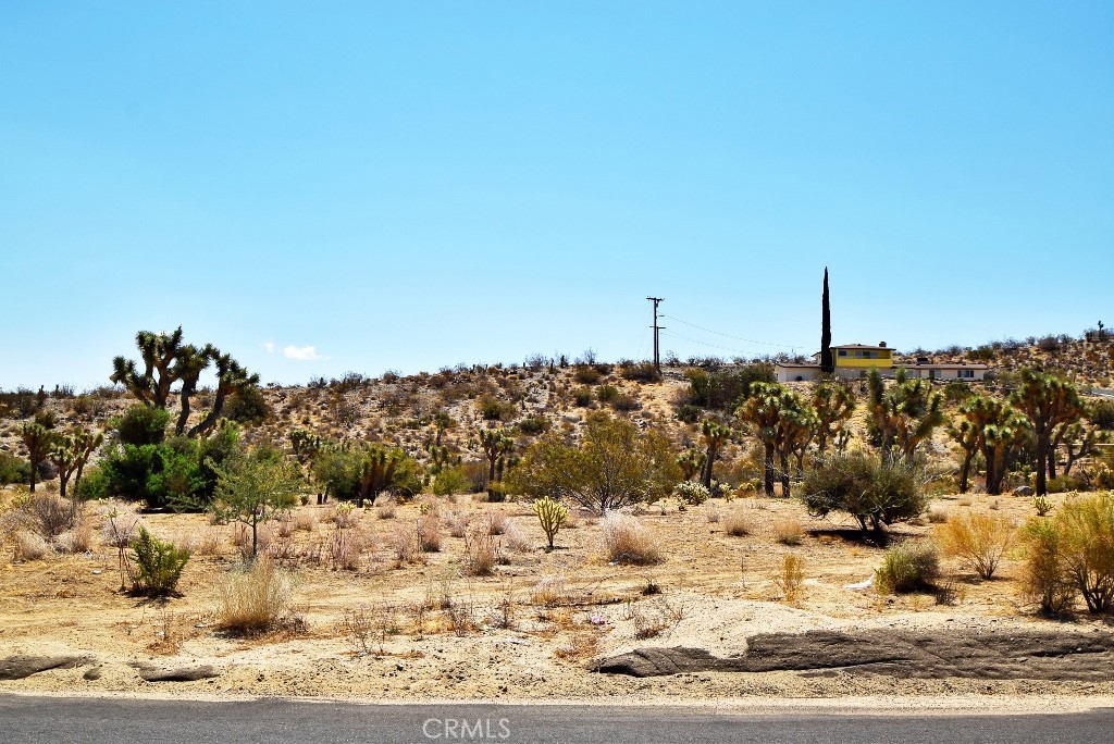 0 Joshua Lane